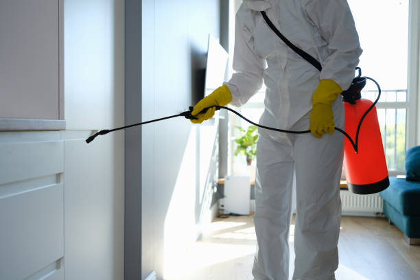 Levittown, NY Mold Remediation Company